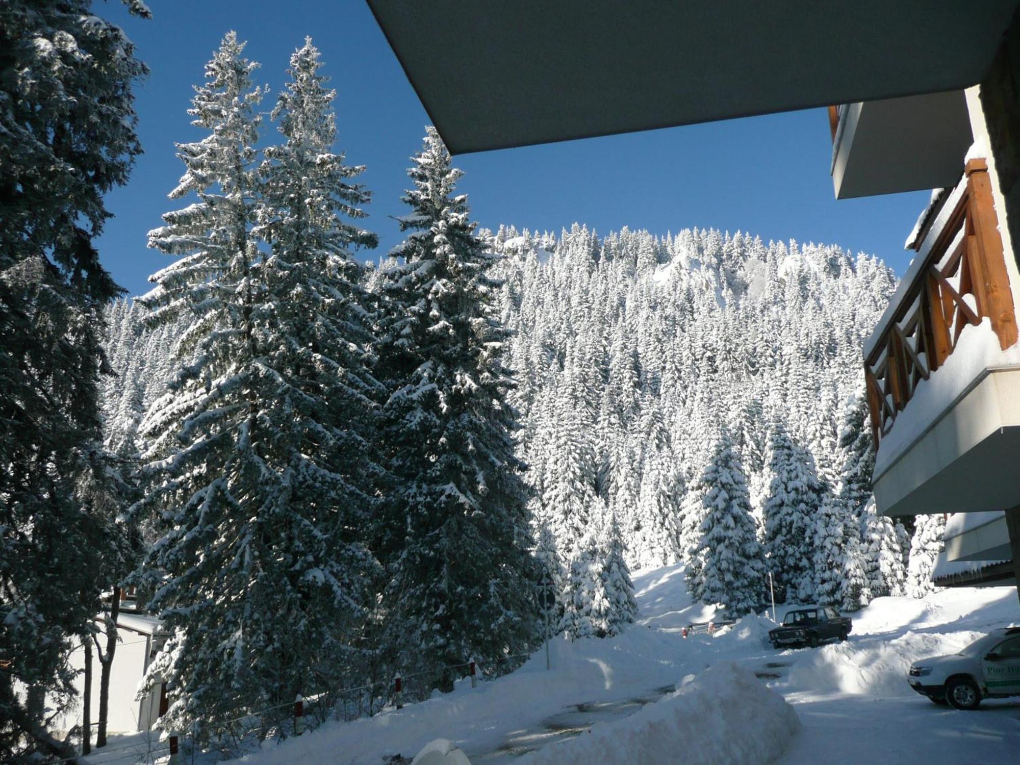 Aparthotel Pine Hills Pamporovo Eksteriør billede